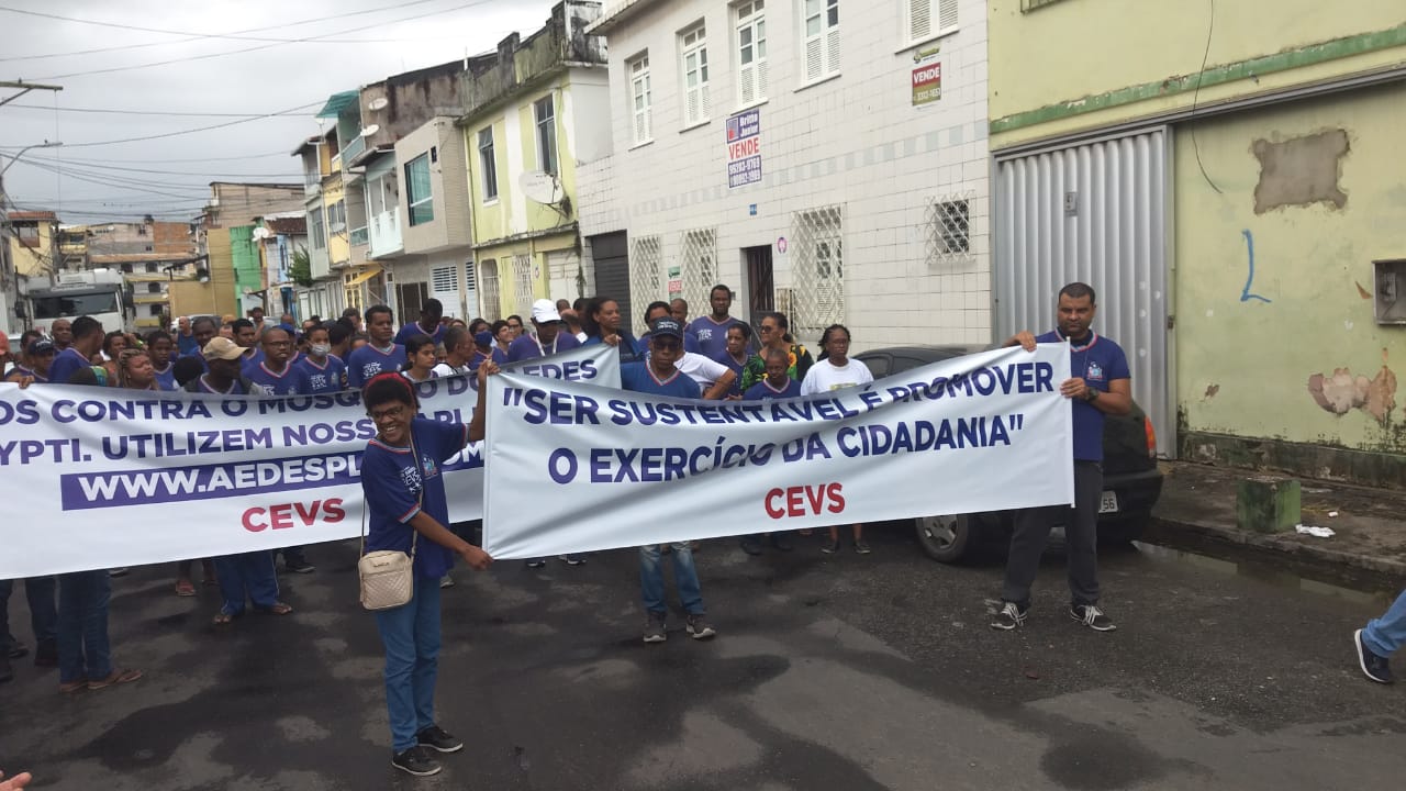 Escolas Estaduais Celebram O Dia Mundial Do Meio Ambiente Com Uma S Rie